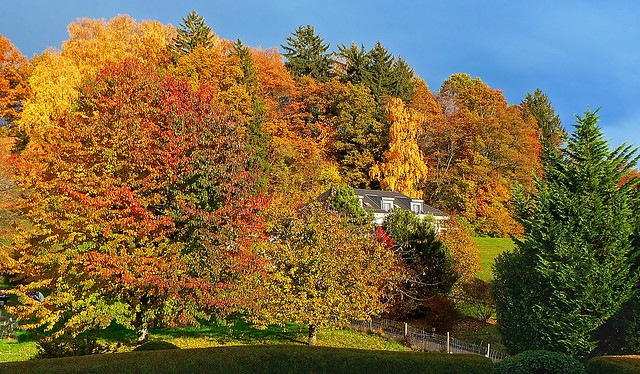SWITZERLAND - Fall colors