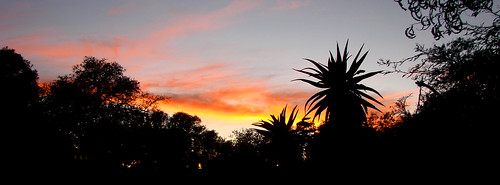 park silhouette sunrise national western cape swellendam bontebok aloes