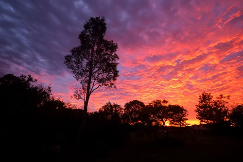 aus australia newsouthwales woodville nikond750 nikon1635mmf4 landscape sunrise altocumulusclouds
