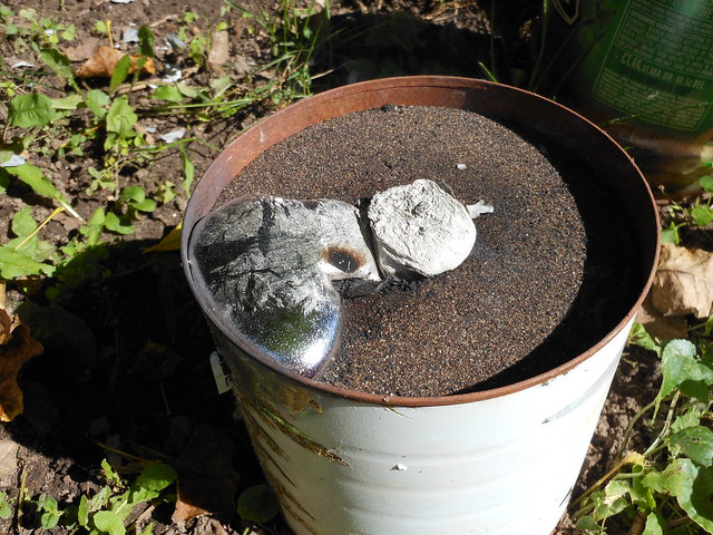 poured wasp nest mold