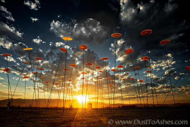 Burning Man 2014  Cazador-del-Sol by Daniel Eiba