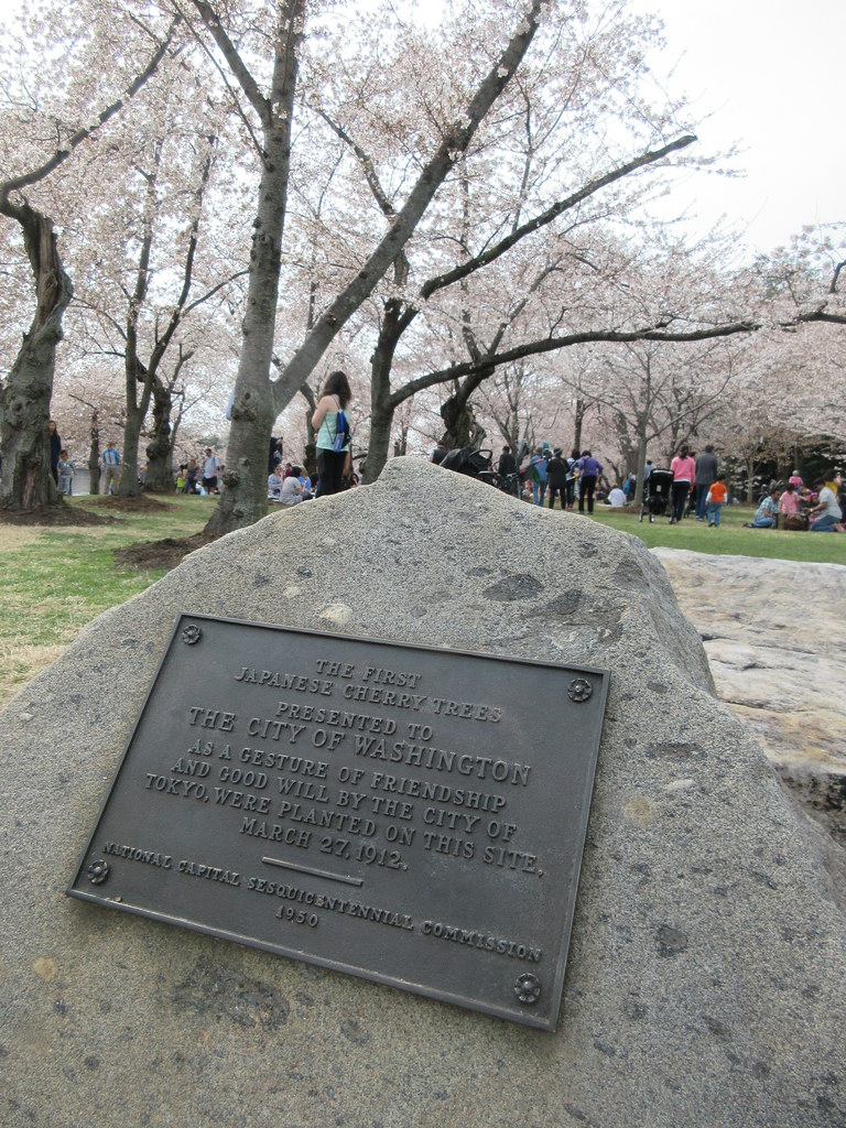  washington dc cherry blossom trees plaque