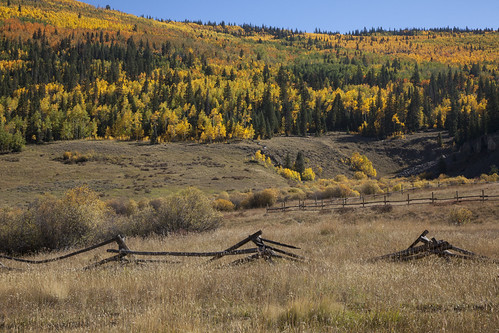 three fences by Jeff Mitton, The first fence is in the foreground--it was probably built when the Alpine Guard Station was constr