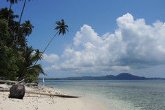 Pulau Tailana