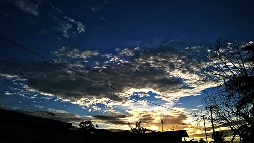 morning trees sky panorama cloud sun abstract black tower art nature weather clouds dark landscape dawn branch skies afternoon darkness gothic goth fantasy scifi doom horror awan epic apocalyptic outbreak pemandangan horizons postapocalyptic windowsphone lumia520