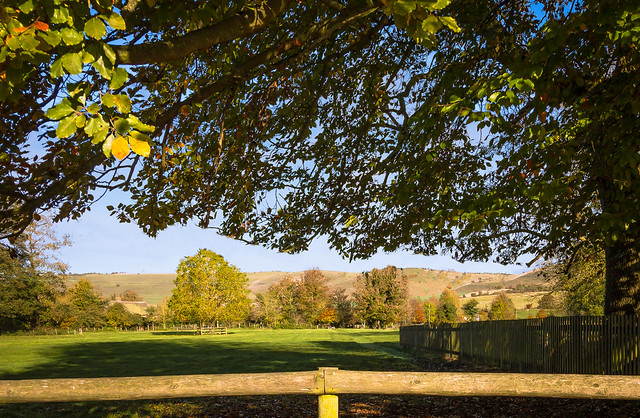 Walker's Hill rises behind a tree-shaded pasture at Alton Barnes in Wiltshire
