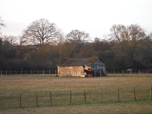 Horse and Shed SWC Walk 34 Newbury Racecourse to Woolhampton (Midgham Station)