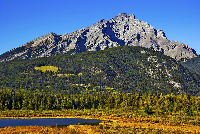 Mount Cascade Over Banff Autumn Field