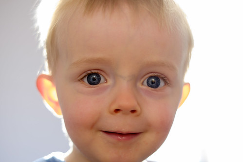 Close up portrait !!! | by Photos.dan2010 Merci.Thanks pour vos 1.M. Visites