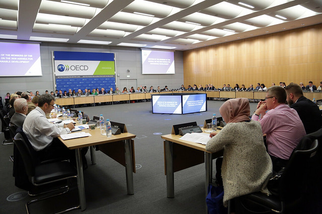 Council on the 2030 Agenda for Sustainable Development