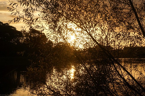 park autumn trees sunset sun lake nature shadows dusk sony silhouettes september lurganpark lightroom5 sonyslta77v sonydt1650mmf28ssm