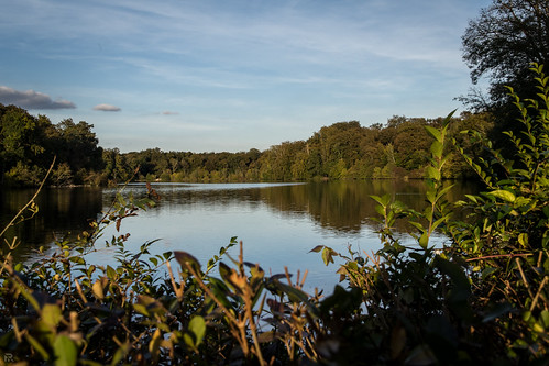 Lake Sunset Oise France by FRS81, sunny with cloudsfrance landscape francia lieux oise mx5france