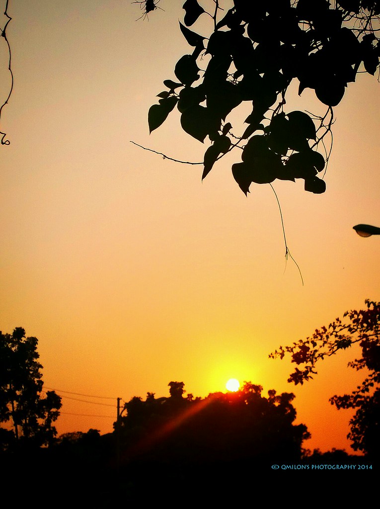 Sunset Collection Sunset_collection Sunset_captures Beautiful Sunset Sunset … | Flickr