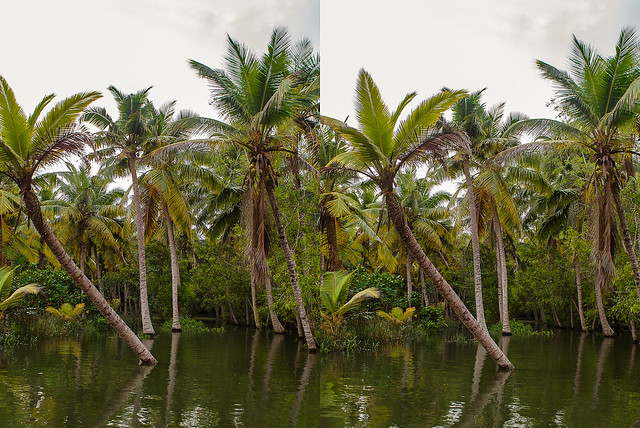 Cross Eye 3D - Poovar Backwaters - Kerala, India