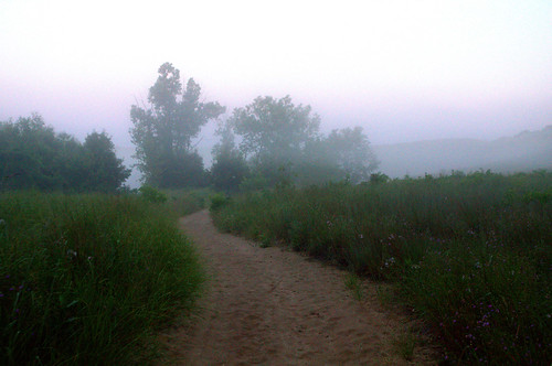 morning travel mist fog sunrise roadtrip lakemichigan warrendunesstatepark