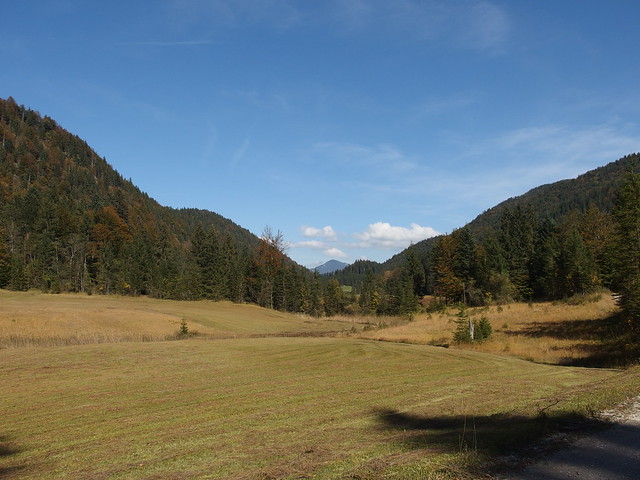 Natur Landschaft Nature Landscape Uppper Bavaria Bayern (c)