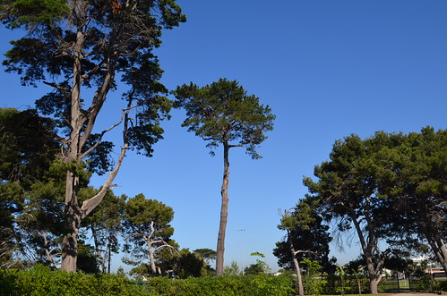 Williamstown Botanic Gardens | by dok1969