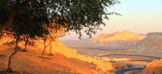 Wadi Zin - Negev desert - Israel