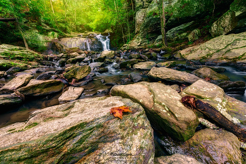nature leaves landscape waterfall nikon rocks waterscape d810