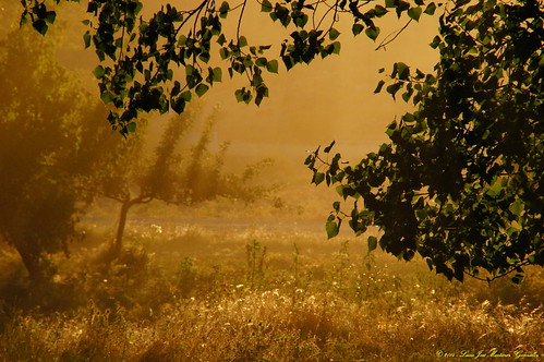 sunset españa sun tree landscape spain europa europe paisaje cuenca castilla castillalamancha salinasdelmanzano luciojosemartinezgonzalez