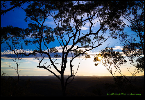 trees sunset australia bluemountains newsouthwales 2014 lapstone