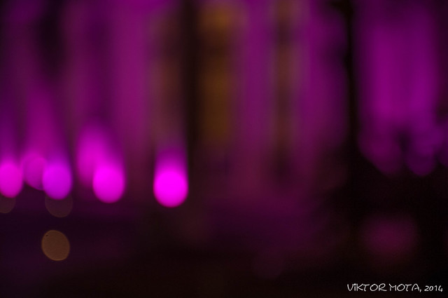 _DSC2793