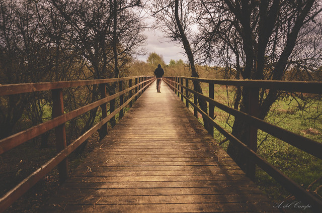 Alone in the bridge