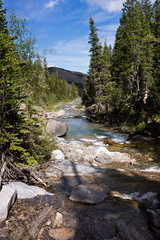 North Fork Birch Creek