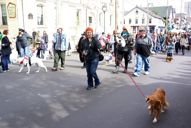 Brady Street Pet Parade 2014