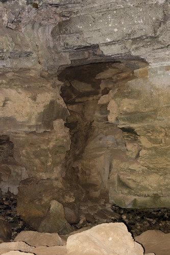 DJT_6488 by David J. Thomas, Ph.D., camping autumn trees leaves swimming hiking caves trail arkansas buffalonationalriver indianrockhous