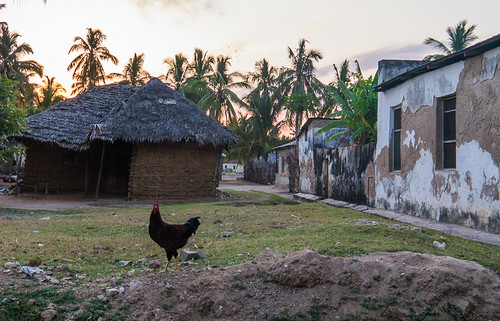 Street at sunset 2, Mikindani, Mtwara by danwaistell,