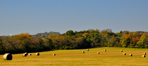 autumn catchycolors landscape nikon tennessee fallcolors farming blueskies agriculture bales haybales widezoom 18300mm williamsoncounty nikond5000 skyemarthaler