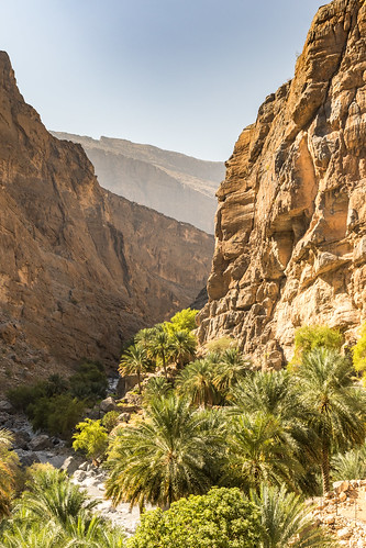 hdr oman wadi tanuf gorge palms mountain