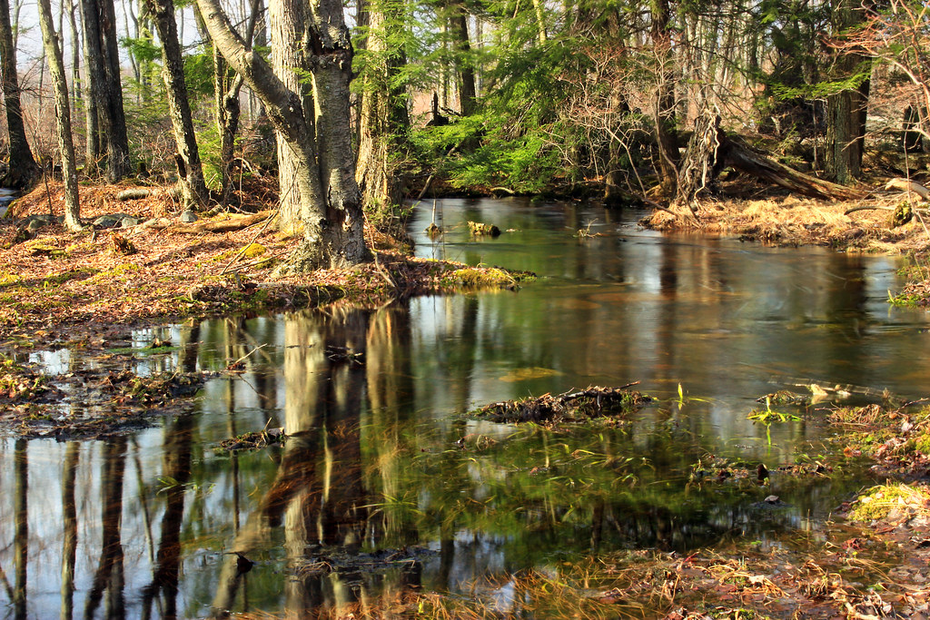 Lakeside Trail (Blue), near Seasonal Survival