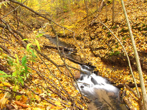 autumn fall creek canon geotagged stream michigan canonpowershotsx10is hardydamnaturetrail hardydamtrail hardydamrusticnaturetrail