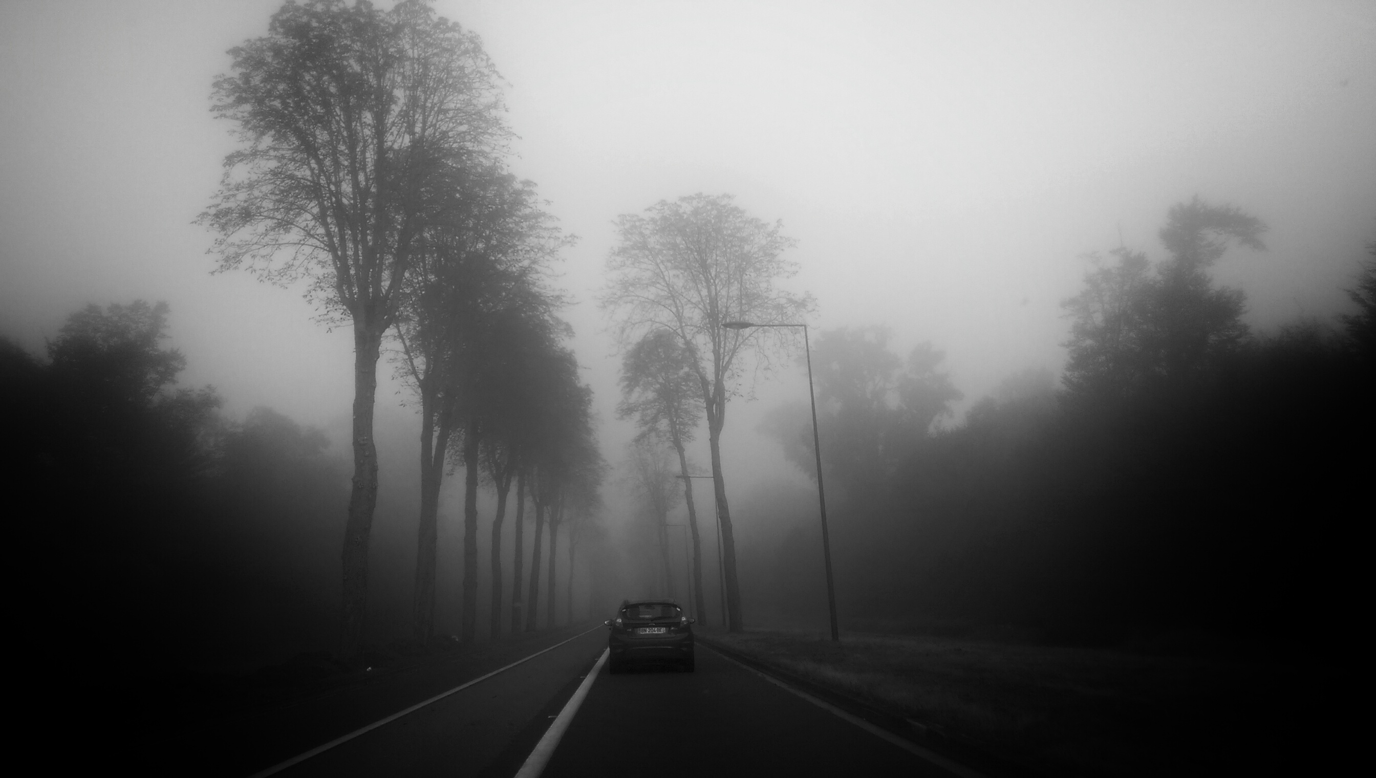 15239672689_458c080260_o.jpg