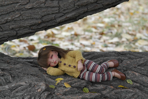 Littlefee...Autumn Nap | by 1930sgirl