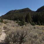 Lava Creek Trail