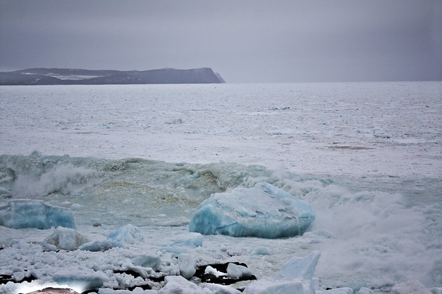 Sea ice at Cape Spear, Newfoundland