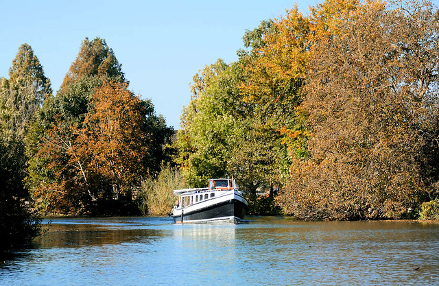 2659 Herbst an der Dove Elbe in dem Hamburger Stadtteil Curslack; eine Barkasse fährt flussaufwärts.