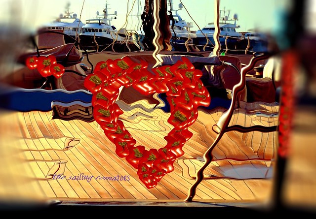 the sailing tomatoes - heart on the deck