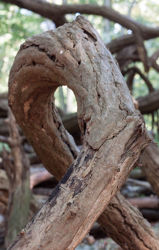 loop_ | by arnesander