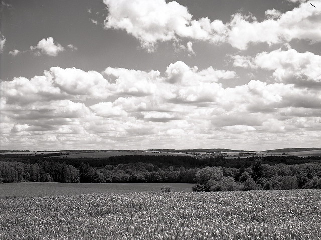 Flexaret IIIa - Moravian Karst Landscape