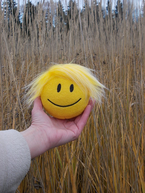 Childrens toy_smile_smiley face_happy face_extra small_Punk hairstyle_16