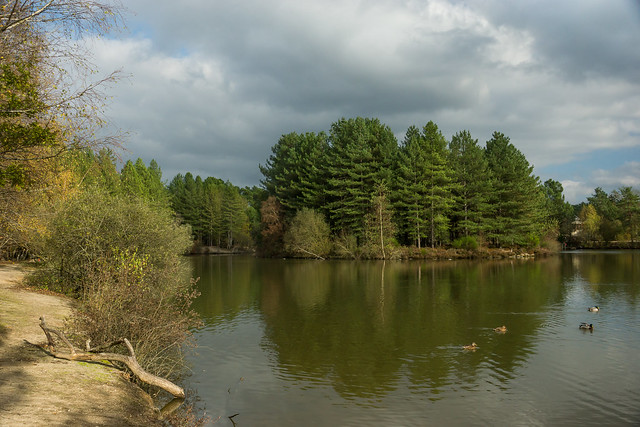 Sologne: Petit lac à Hauts de Bruyère, Chaumont-sur-Tharonne, Centre, France