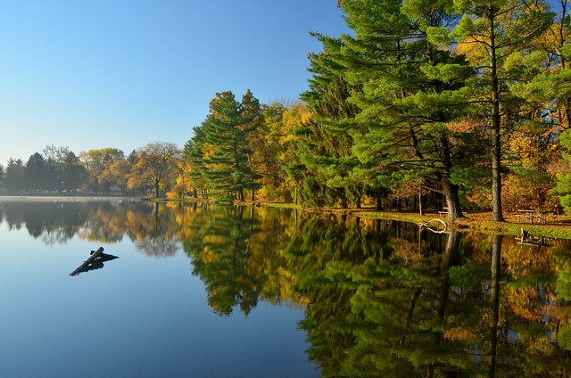 Fall Reflections