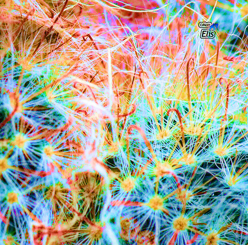 Colour Vision | mattseven | Flickr