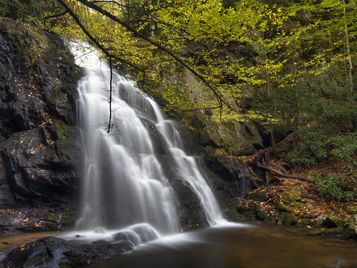 camping autumn mountains fall water leaves landscape golden waterfall october slow hiking great trail shutter smoky milky silky tremont littleriver greatsmokymountainsnationalpark gsmnp middleprong spruceflatbranch