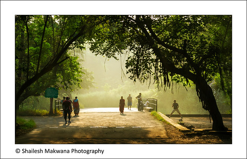 india canon landscape nationalpark scenery asia bombay maharashtra mumbai mh landscapephotography sanjaygandhinationalpark sgnp borivali canoneos7d canon7d shaileshmakwana shaileshmakwanaphotograhpy