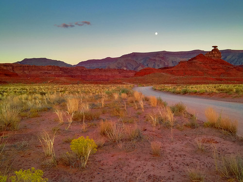 flowers sunset moon southwest landscape utah ut unitedstates desert mexicanhat iphone iphoneography iphone4s
